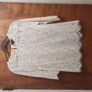 The Limited 3/4 sleeve lace top